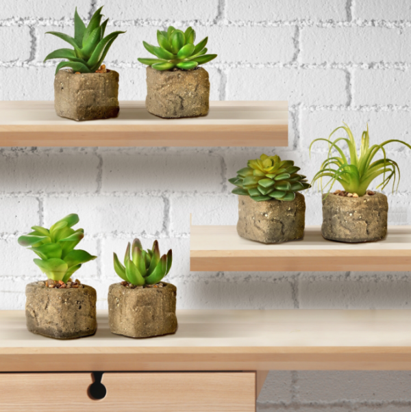 Rak Batu dengan Lantai Puring